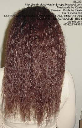 Cornrow Tree Braids Wet n wavy human hair Back185.