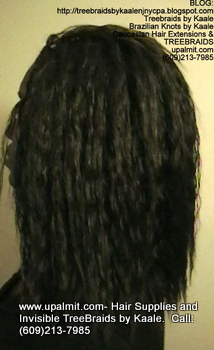 Tree Braids- Cornrows with Wavy human hair, Left2364.