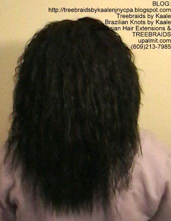 Tree Braids- Cornrows with Wet n Wavy human hair, Back2343.