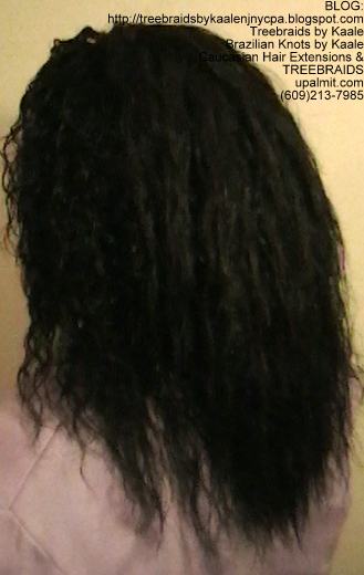 Tree Braids- Cornrows with Wet n Wavy human hair, Left2344.