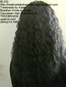 Tree Braids- with Wet and Wavy human hair Back2252.