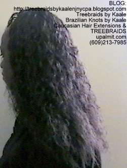 Tree Braids- with Wet and Wavy human hair Left2253.