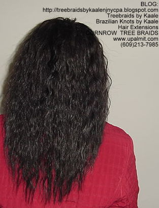 Wavy cornrow Treebraids, Back274.