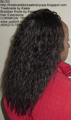 Wavy cornrow Treebraids, Right275.