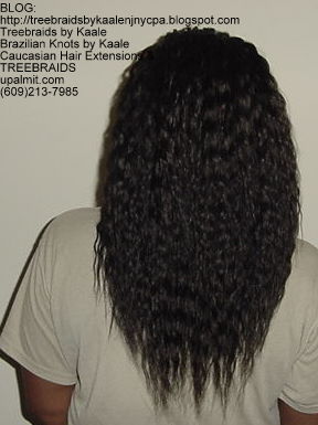 Tree Braids with KAALE Brand Wet n Wavy loose wave human hair Back354.