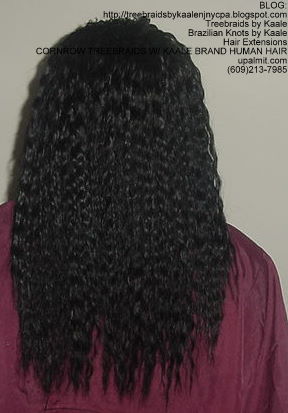 Cornrow Tree Braids KAALE Brand Back164.