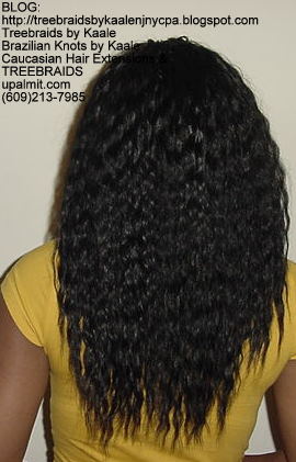 Tree Braids using KAALE Brand Wet n Wavy Tangle Free hair Back294.