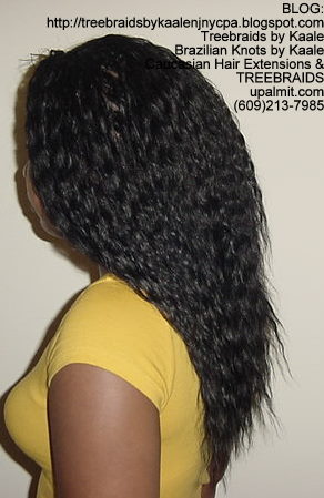 Tree Braids using KAALE Brand Wet n Wavy Tangle Free hair Left295.