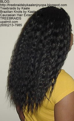 Tree Braids using KAALE Brand Wet n Wavy Tangle Free hair Right296.