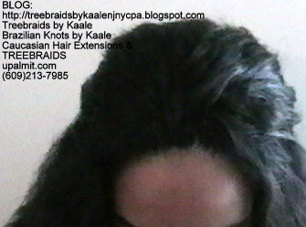 Tree Braids- Wet n Wavy Top2254.