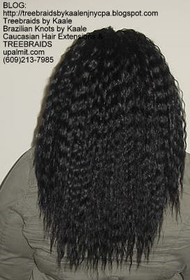 Tree Braids with Wet n Wavy KAALE Brand human hair Back322.