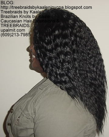Tree Braids with Wet n Wavy KAALE Brand human hair Left323.