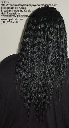 Tree Braids using KAALE Brand Wet n Wavy hair Back197.