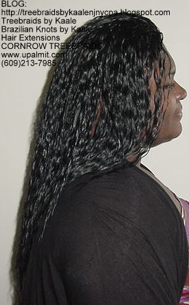 Tree Braids using KAALE Brand Wet n Wavy hair Right199.