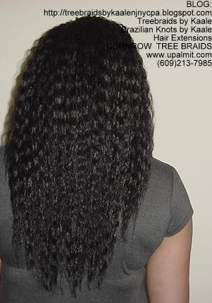 Tree Braids- Wavy Tree Braids Back224.
