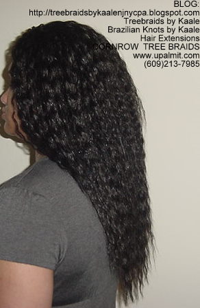 Tree Braids- Wavy Tree Braids Left225.