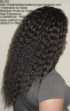 Tree Braids- Wavy Tree Braids Right226.