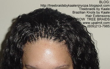 Tree Braids- Wavy Tree Braids Top227.