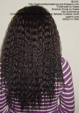 Cornrow Tree Braids KAALE Brand Back167.