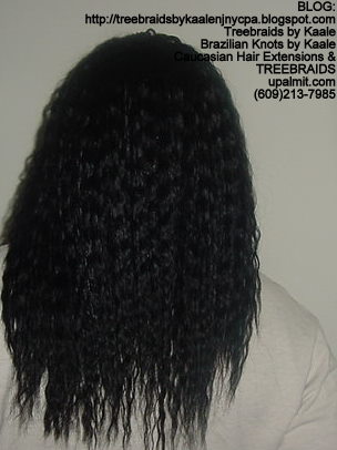 Tree Braids using KAALE Brand Wet n Wavy Tangle Free hair Back298.