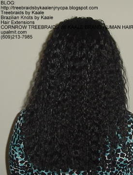 Cornrow Tree Braids KAALE Brand Back171.