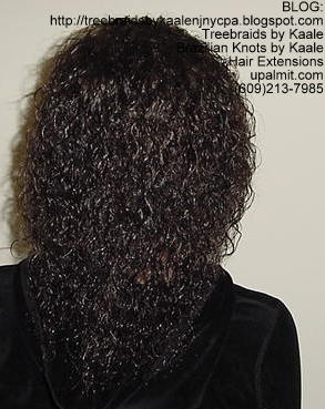 Wavy Tree Braids- Mediumsmall- Back214.