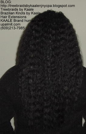 Wet n Wavy Tree Braids, Kaale Brand Back141.
