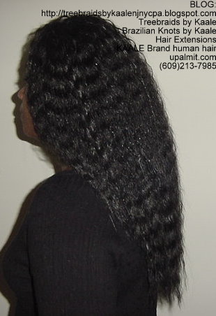 Wet n Wavy Tree Braids, Kaale Brand hair Left142.
