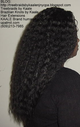 Wet n Wavy Tree Braids, Kaale Brand hair Right143.