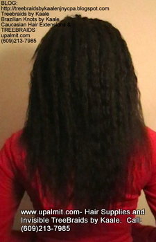 Tree Braids- Cornrows with Wet n Wavy human hair, Back2332.