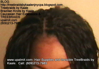 Tree Braids- Cornrows with Wet n Wavy human hair, Top2335.