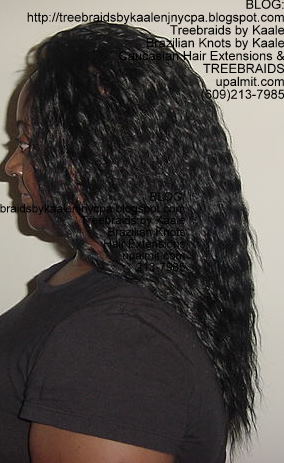 Tree Braids with Wet n Wavy KAALE Brand human hair Left319.
