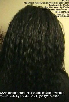Tree Braids- Cornrows with Wavy human hair, Back2363.