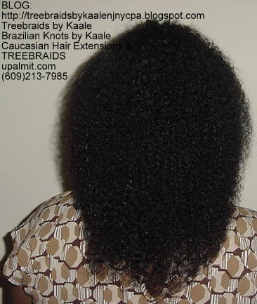 Tree Braids- Remy Wet n Wavy Back2230.