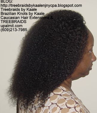 Tree Braids- Remy Wet n Wavy Right2231.