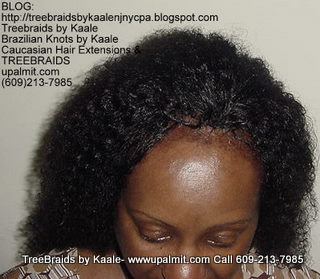 Tree Braids- Remy Wet n Wavy Top2234.