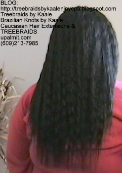 Tree Braids- with Wet n Wavy human hair Back2243.