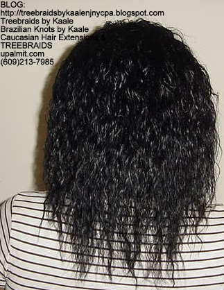 Treebraids with Wet n Wavy human hair Back2197.