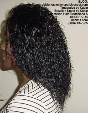 Treebraids with Wet n Wavy human hair Left2198.