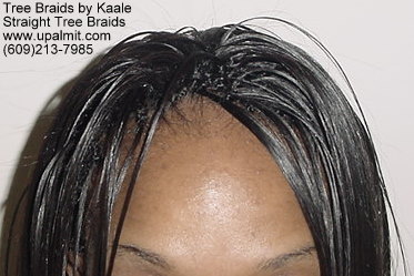 Straight TreeBraids- Top.