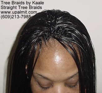 Straight TreeBraids- Top2.