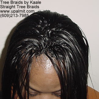 Straight TreeBraids- Top4.