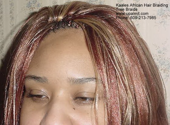 Treebraids 24hrs by Kaale (609) 213-7985.