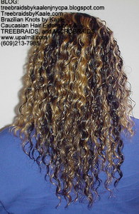 Tree Braids by Kaale- cornrow treebraids with blonde streaked hair Back view.