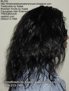 Treebraids with Body Wave Right2165.