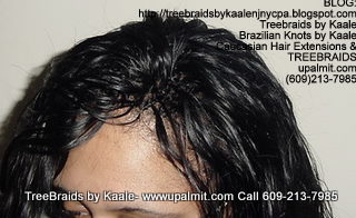 Treebraids with Body Wave Top2167.