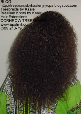 Treebraids by KAALE- Brazilian Virgin Kinky Curly, Back2192.