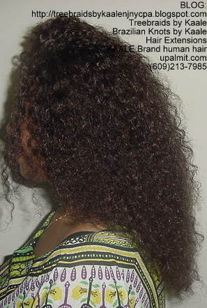 Treebraids by KAALE- Brazilian Virgin Kinky Curly, Left2193.