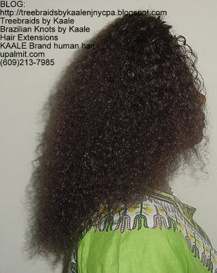 Treebraids by KAALE- Brazilian Virgin Kinky Curly, Right2194.