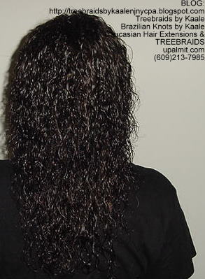 Treebraids with Wet and Wavy human hair Back2172.